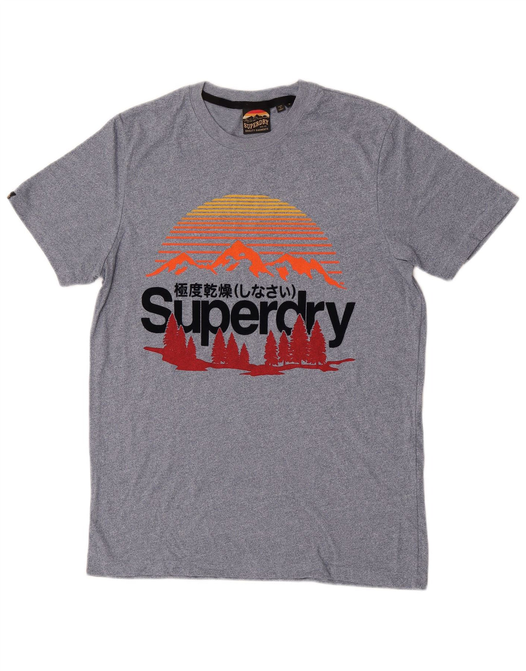 Superdry muška majica kratkih rukava s grafičkim motivima, mali plavi pamuk