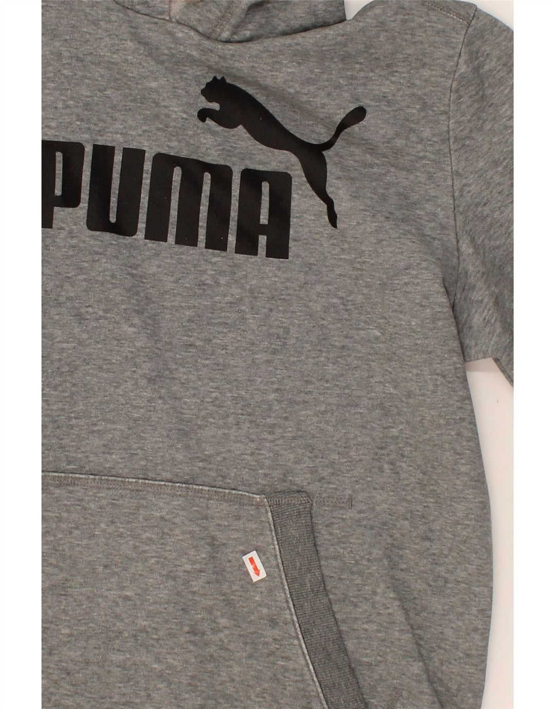 PUMA Mens Graphic Hoodie Jumper Medium Grey Cotton Vintage Puma and Second-Hand Puma from Messina Hembry 