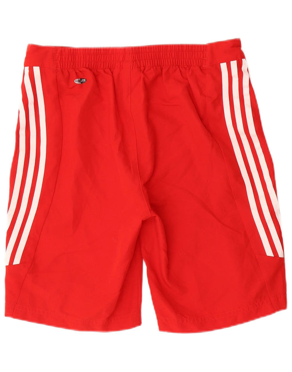 Adidas Boys Climalite Graphic Sport Shorts 13-14 Years Red Poliester