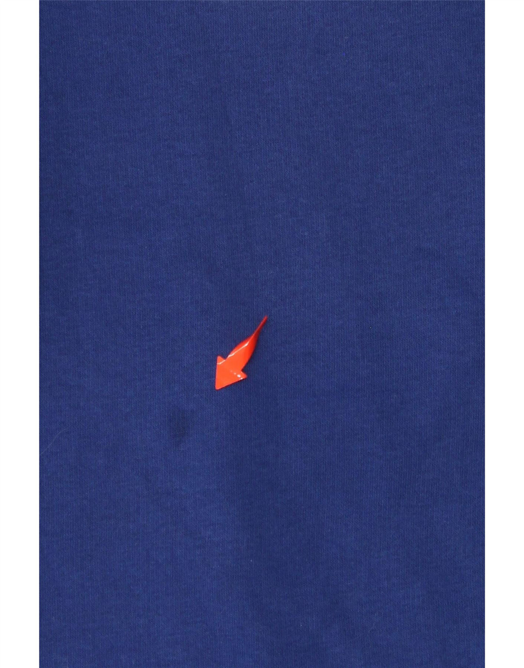 CHAMPION Muški džemper s grafičkim motivima, mali plavi pamuk