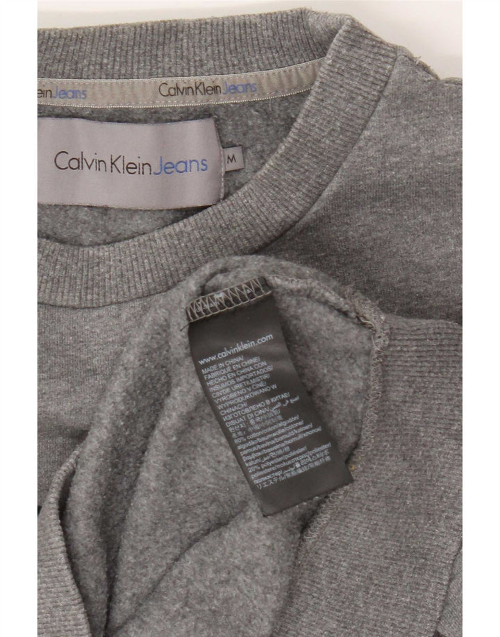 Calvin Klein Jeans muška trenirka s grafičkim motivima Srednje siva s mrljama