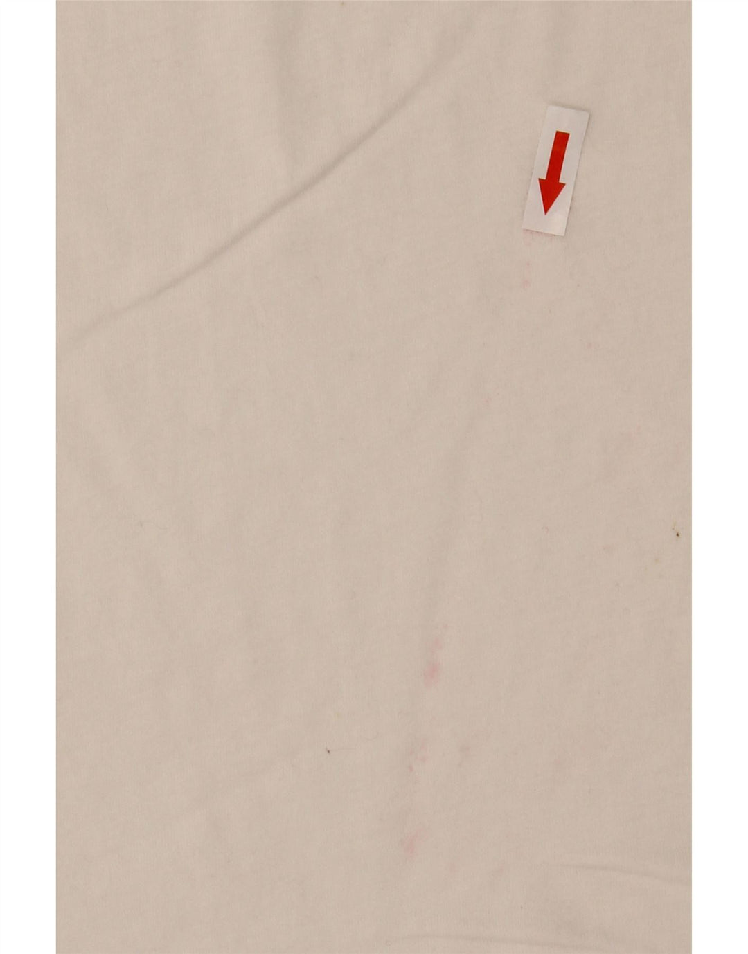 Replay Muška majica s grafičkim motivima srednje bijele boje