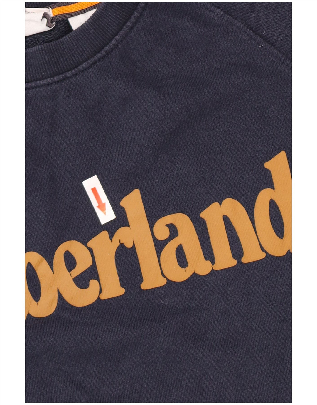 Timberland muška trenirka s grafičkim motivima Regular Fit Mali tamnoplavi džemper