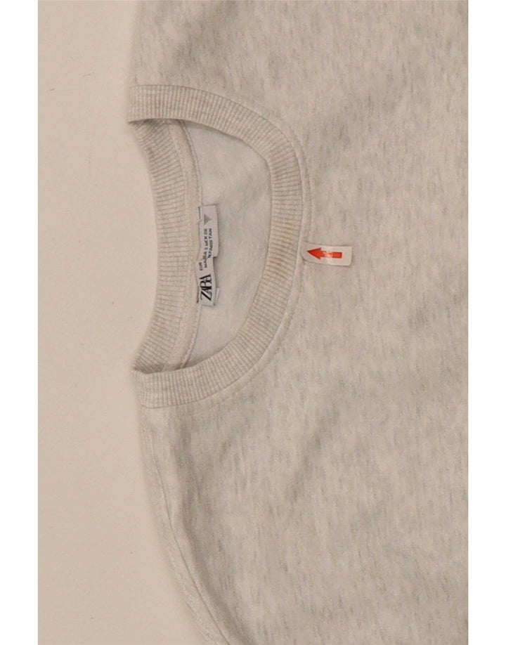 Zara ženska prekomjerna majica s kratkim rukavima UK 10 Small Grey Flected