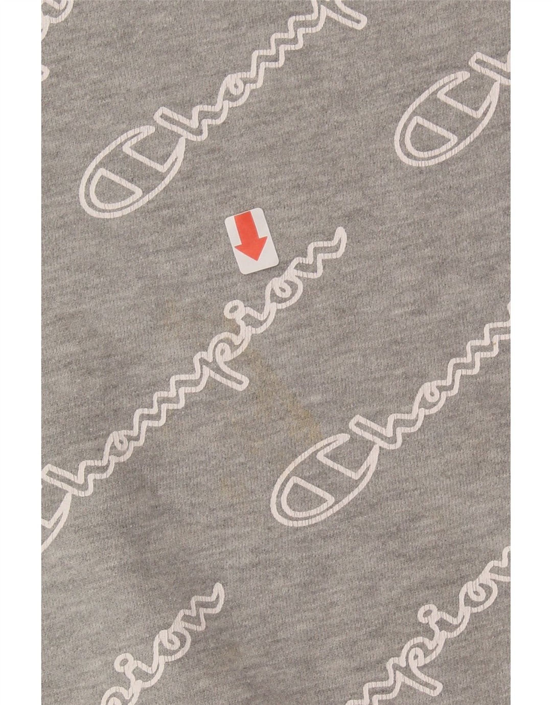 CHAMPION Boys Graphic Sweatshirt Jumper 7-8 Years Small Grey Cotton Vintage Champion and Second-Hand Champion from Messina Hembry 