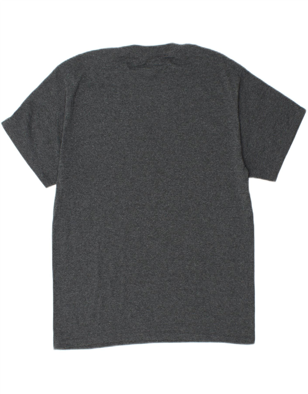 CHAMPION Mens Graphic T-Shirt Top Medium Grey Vintage Champion and Second-Hand Champion from Messina Hembry 