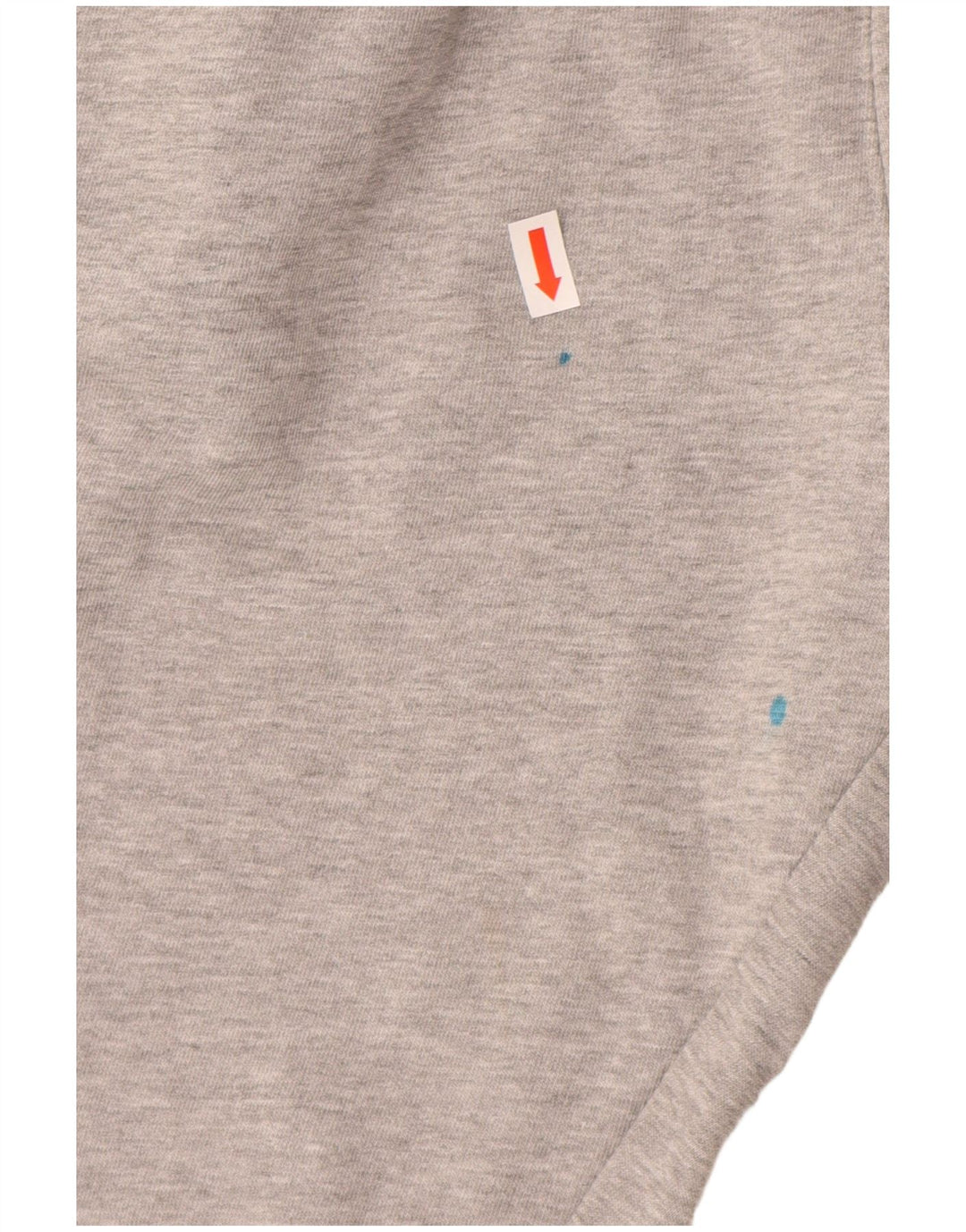 CHAMPION Trenirka s grafičkim prikazom Hlače Joggers Large Grey