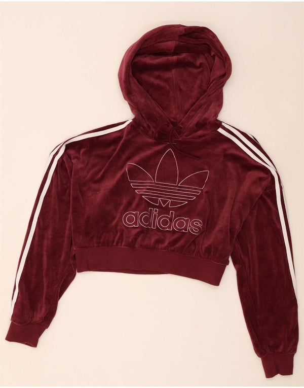 Adidas ženska majica s kapuljačom od kratkog velura UK 8 Mala bordo