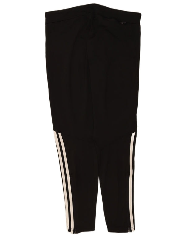 Adidas ženske tajice Climalite UK 16/18 velike crne