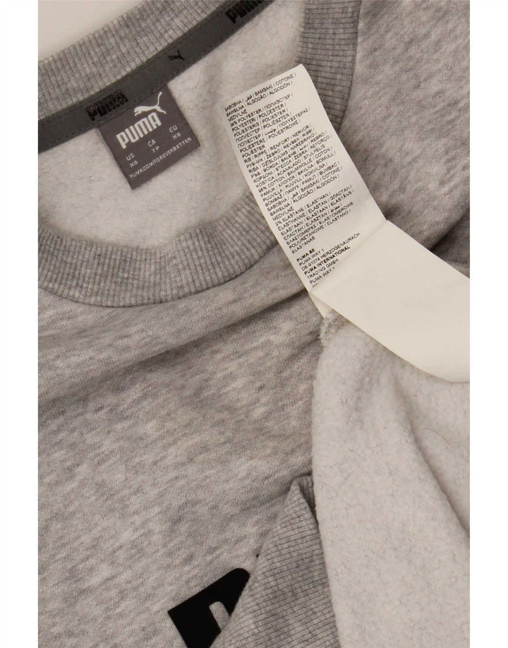 Puma muška majica s grafičkim motivima XS, sivi pamuk