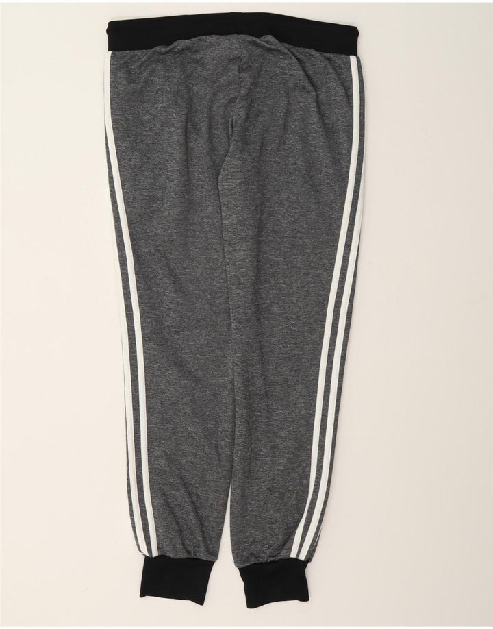 Adidas Ženska trenirka Hlače Joggers UK 12 srednje sivi poliester